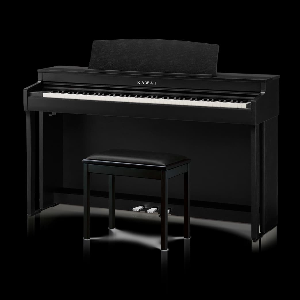 Kawai CN301